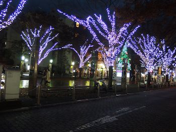 xmasイルミネーション　２０１４.jpg